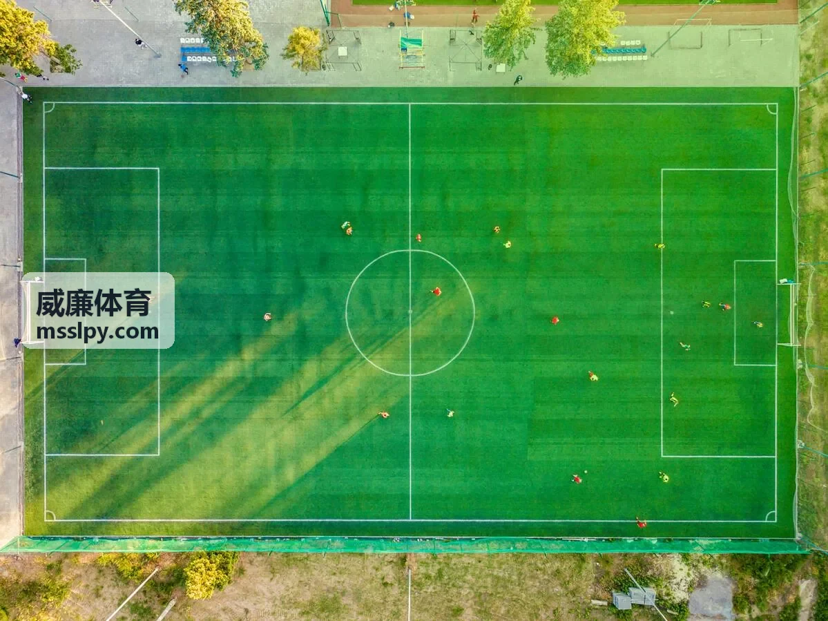 合作机构